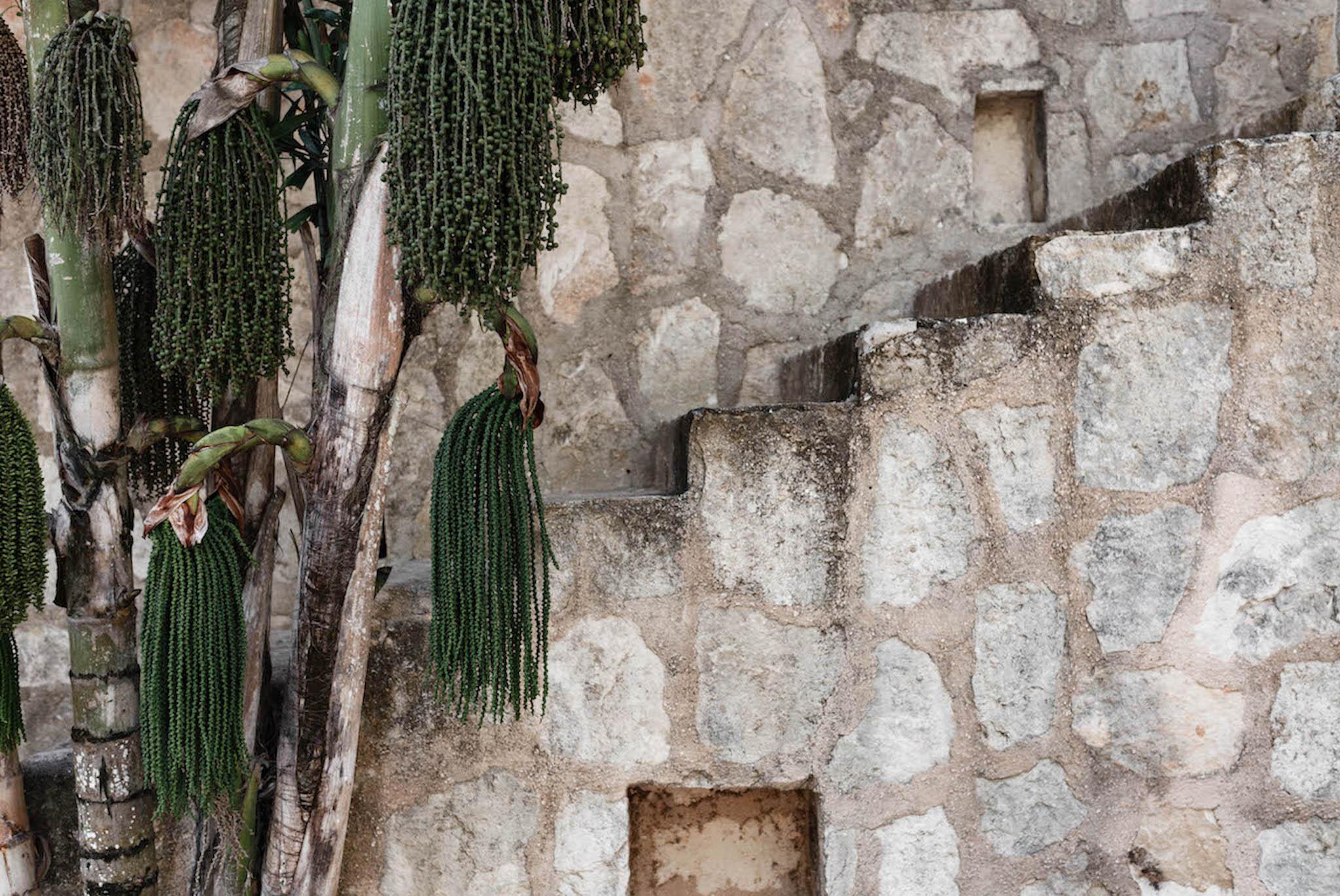 Coqui Coqui Papholchac Coba Residence & Spa Buitenkant foto