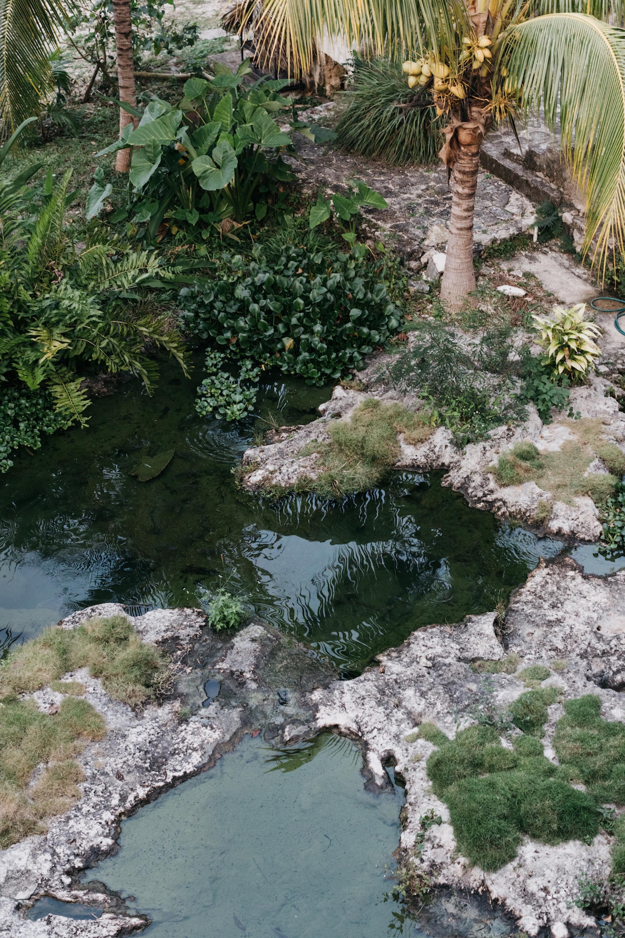 Coqui Coqui Papholchac Coba Residence & Spa Buitenkant foto